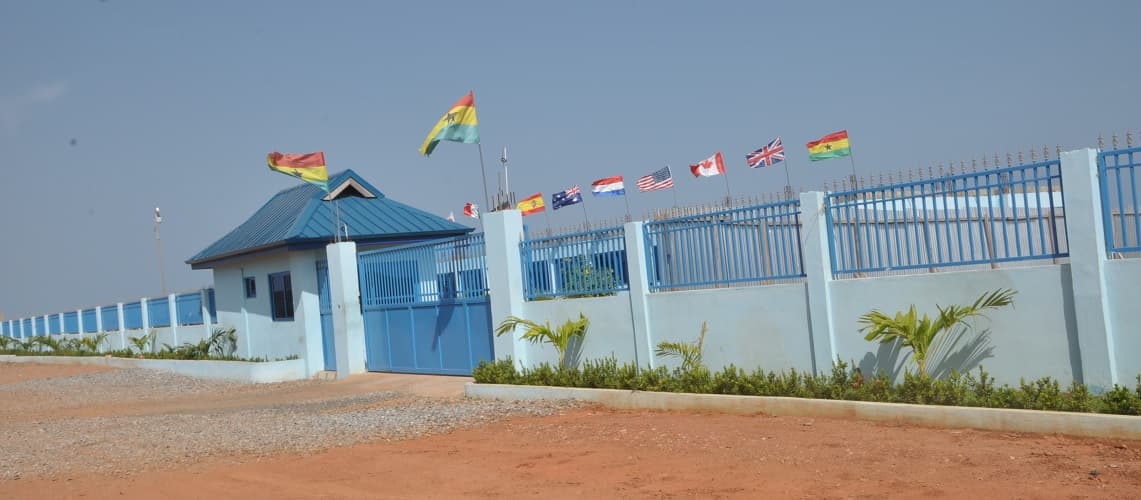 Dison International School photo 3