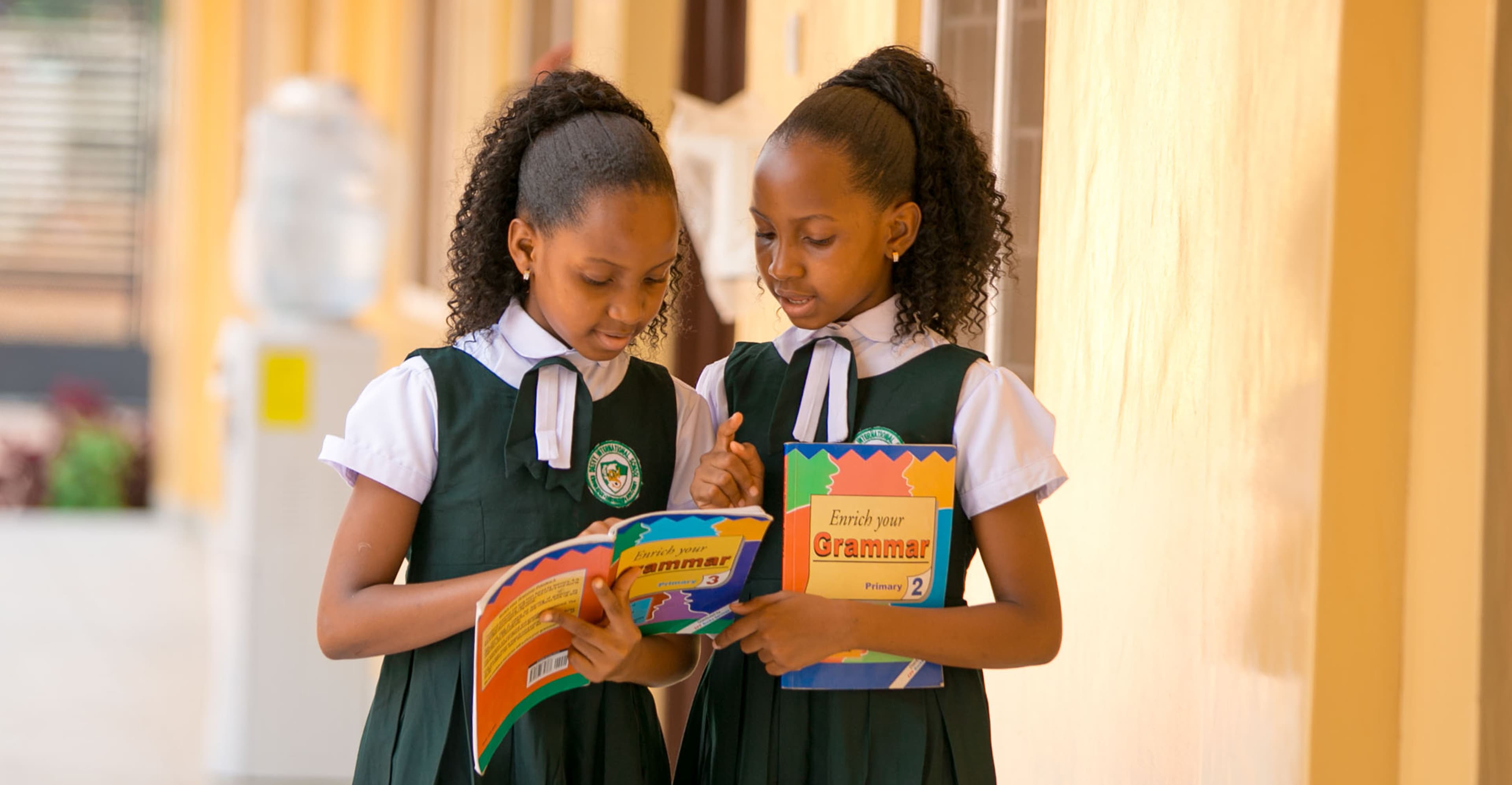 Desvy International School photo 3