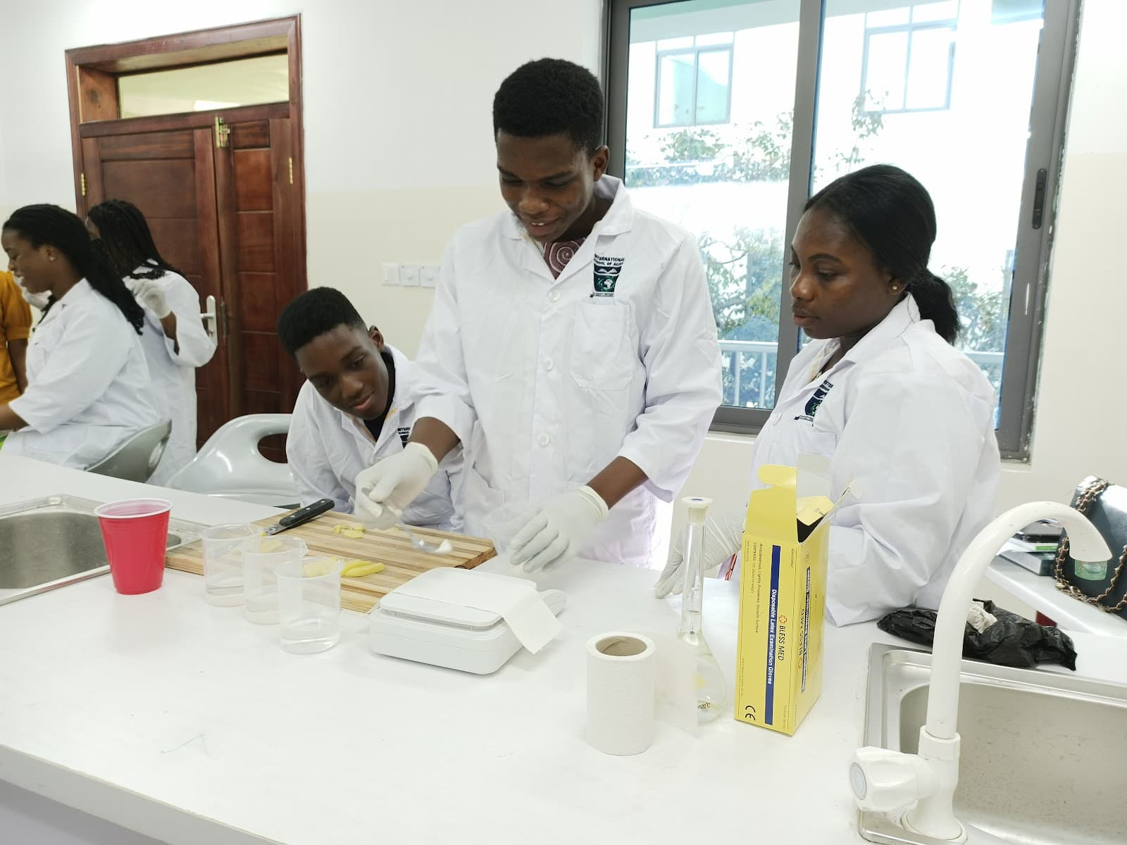International School of Accra photo 2